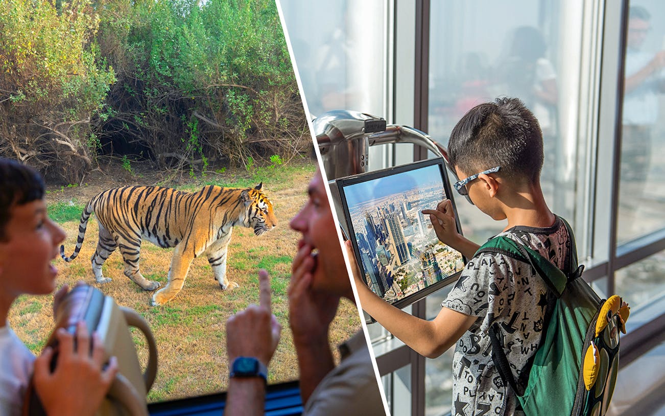 Visitors observing a tiger at Dubai Safari Park and a child viewing cityscape from Burj Khalifa.