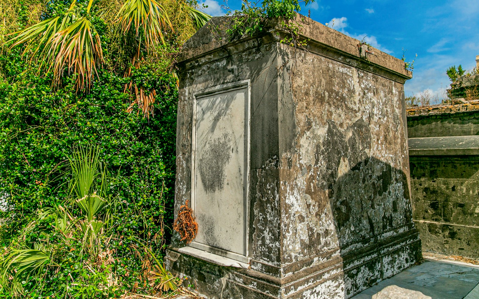 Tomb surrounded by greenery inside St. Louis Cemetery, New Orleans.