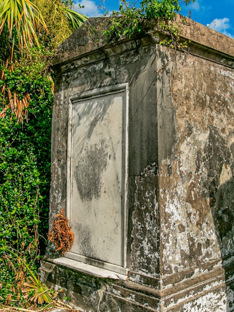 Tomb surrounded by greenery inside St. Louis Cemetery, New Orleans.