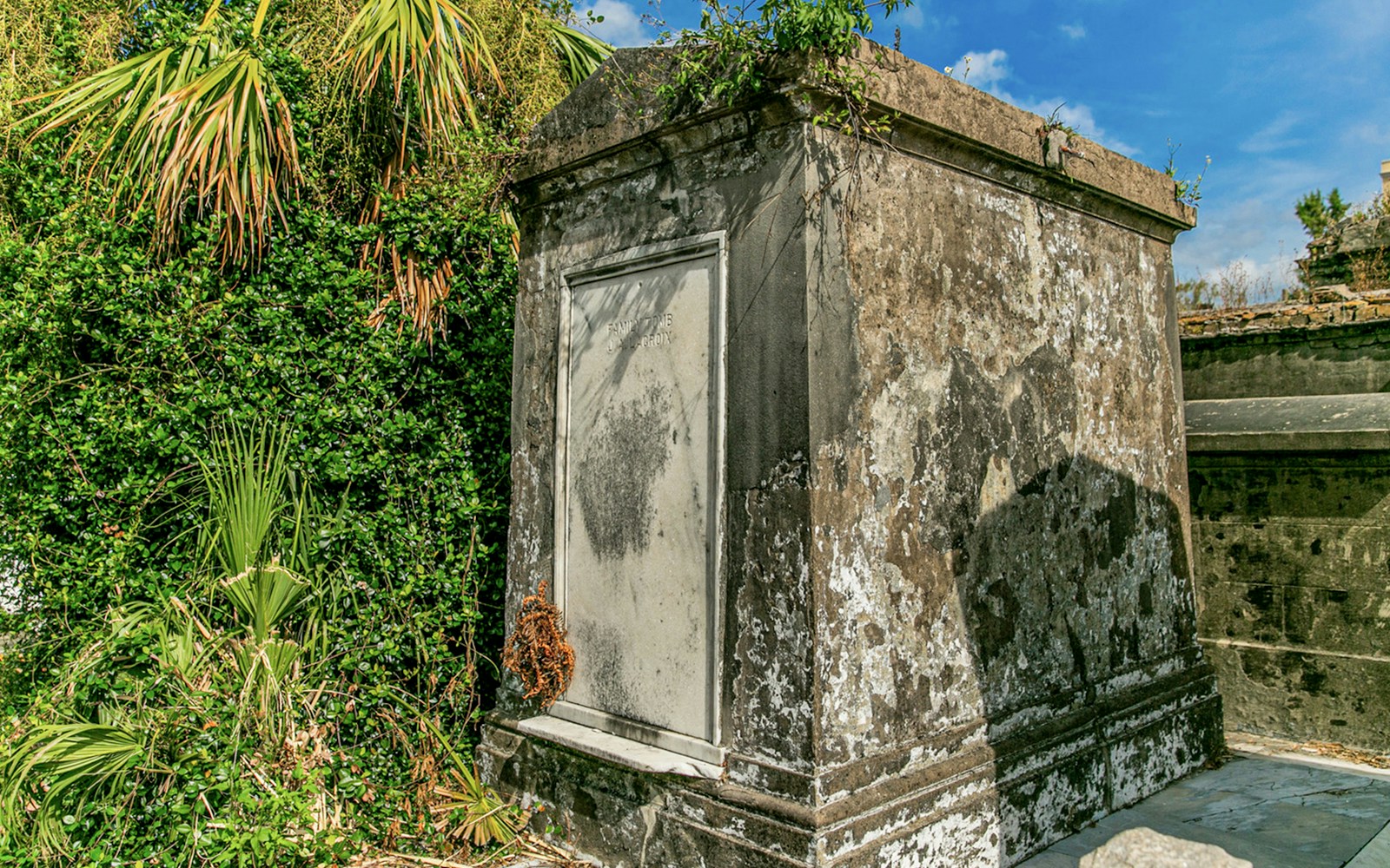 Tomb surrounded by greenery inside St. Louis Cemetery, New Orleans.