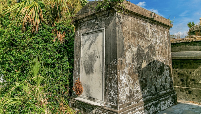 Tomb surrounded by greenery inside St. Louis Cemetery, New Orleans.