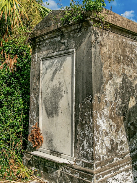 Tomb surrounded by greenery inside St. Louis Cemetery, New Orleans.
