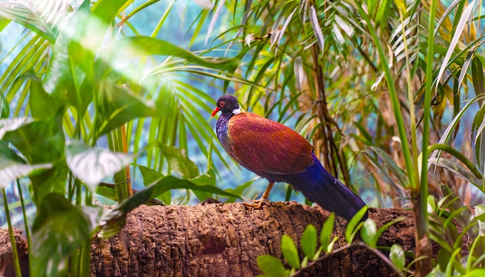 Zoo de Barcelona Tickets