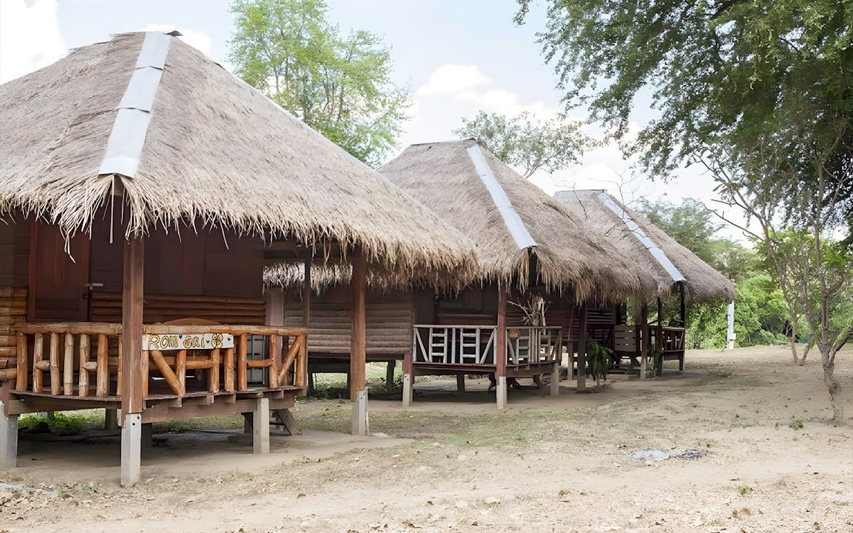 day tour of elephants world camp in kanchanaburi with hotel transfers & meals-8 day tour of elephants world camp in kanchanaburi with hotel transfers & meals-8