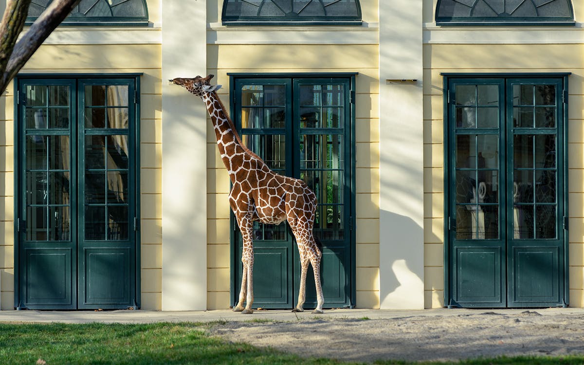 vienna pass: 70+ attractions-8 vienna pass: 70+ attractions-8