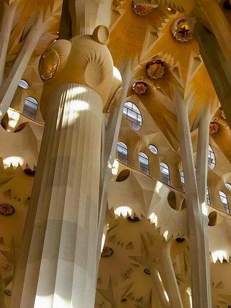 Sagrada Familia interior columns with intricate design and natural light filtering through.