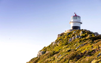 da città del capo: tour del capo di buona speranza e di cape point con i pinguini di boulders beach-2