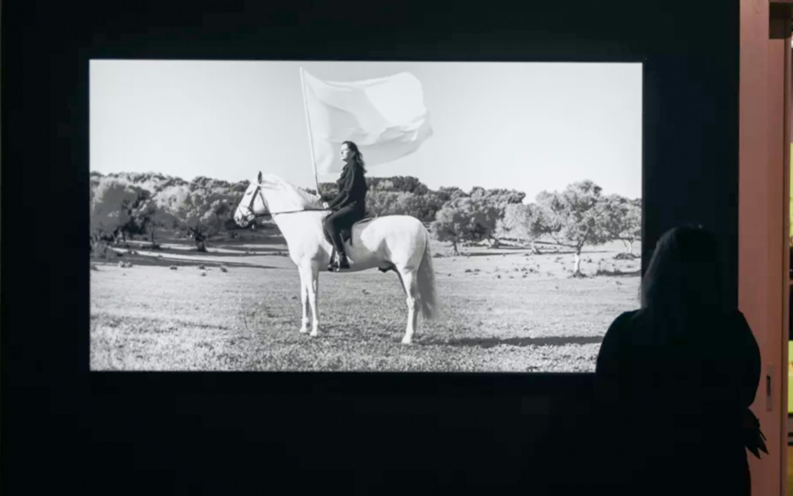 Exhibit at Moco Museum Amsterdam showing a person on a horse with a flag.