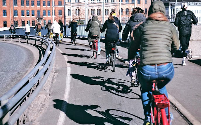 Cyclists on a Copenhagen street during a private tour.