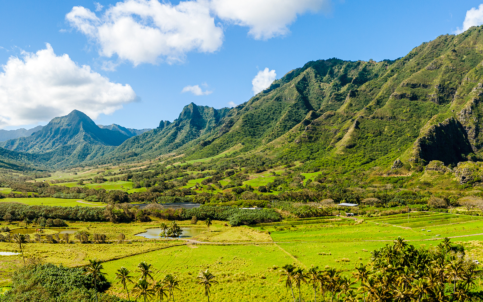 Wide panorama of lush green valleys and mountains at Kualoa Ranch, Oahu, Hawaii.