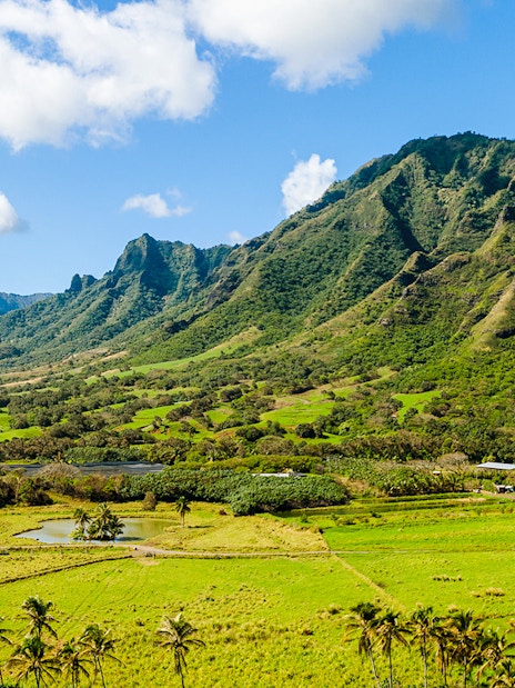 Wide panorama of lush green valleys and mountains at Kualoa Ranch, Oahu, Hawaii.