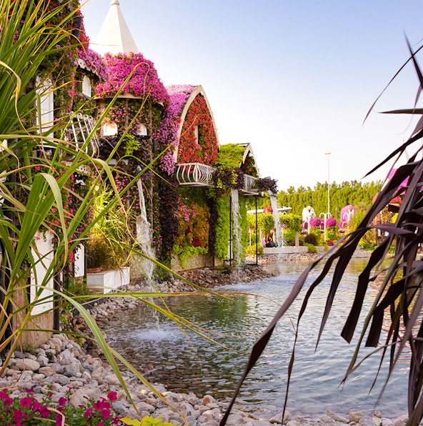 Visiting Dubai Miracle Garden: Timings & seasonal info