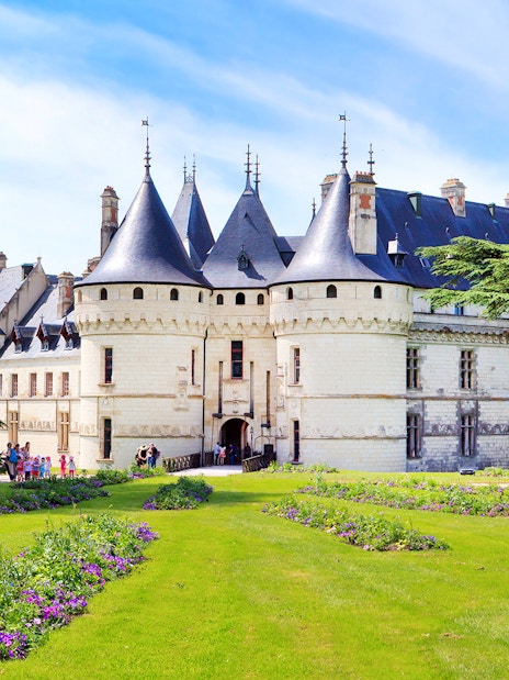 Château de Chenonceau with gardens, Loire Valley, France.