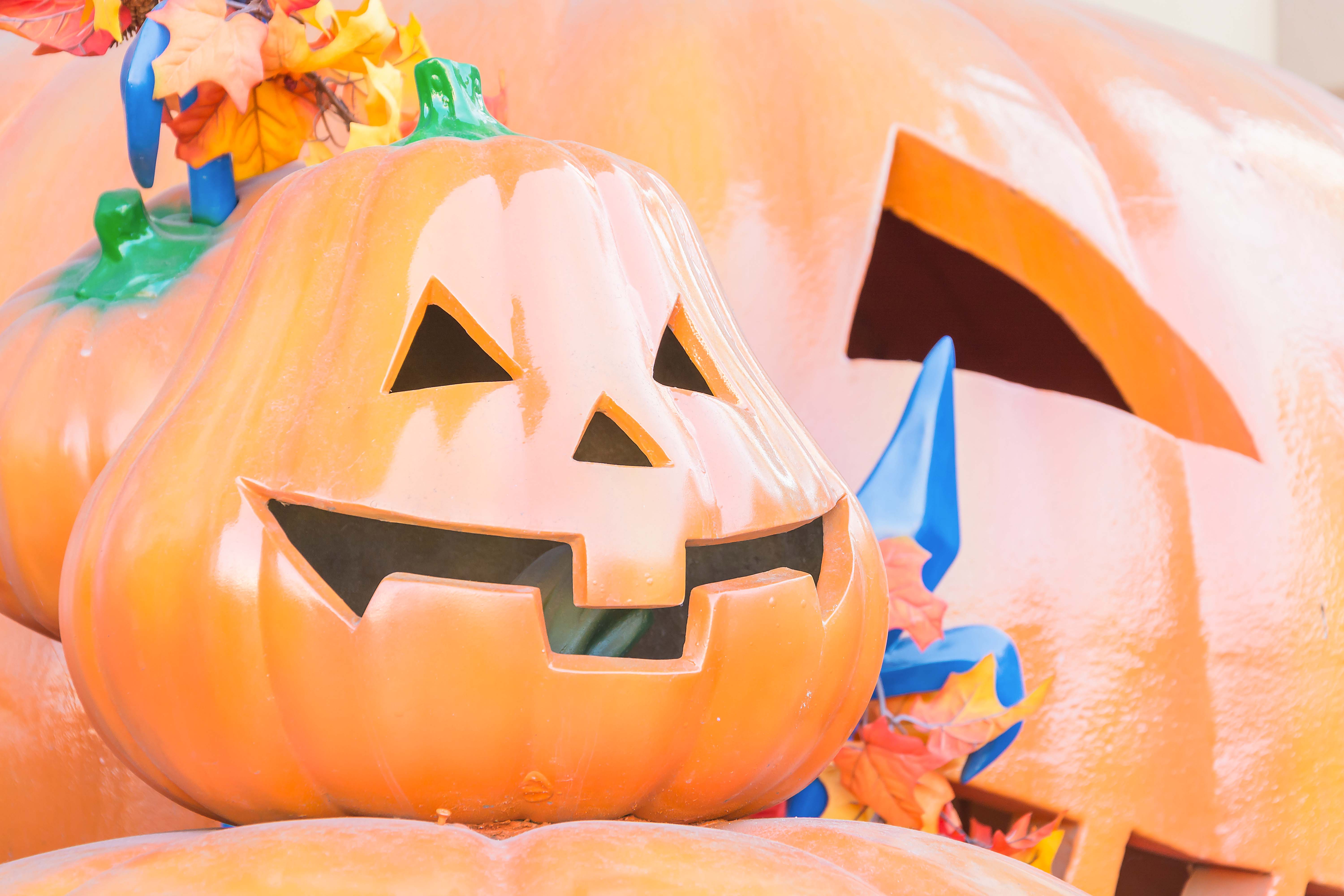 Everland Seoul tickets -Festivals