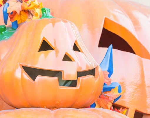 Everland Seoul tickets -Festivals