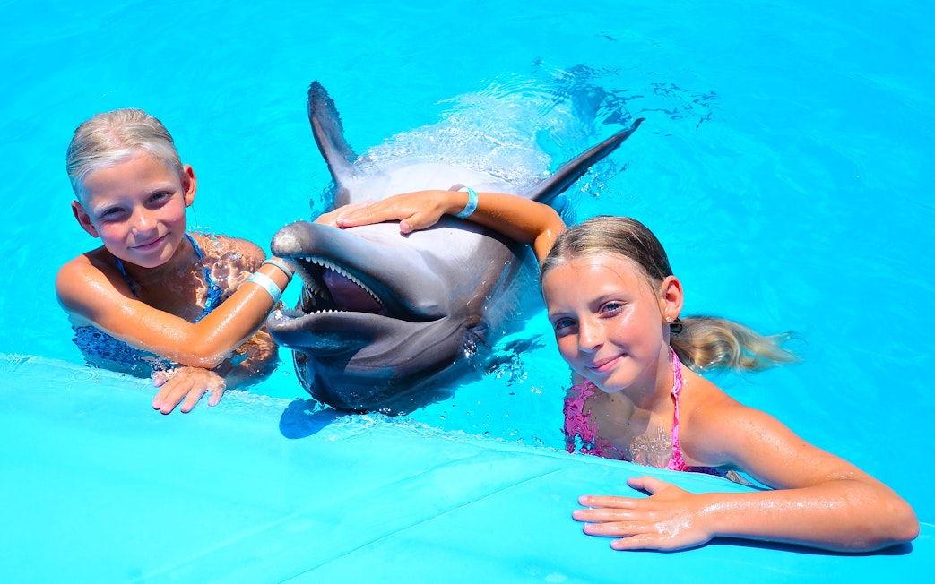 Dolphin with young girls at Egypt Dolphin World, Hurghada.