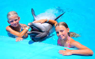 Dolphin with young girls at Egypt Dolphin World, Hurghada.