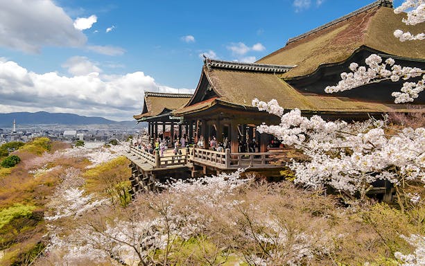 Kiyomizu-dera temple with cherry blossoms in Kyoto during full-day tour.