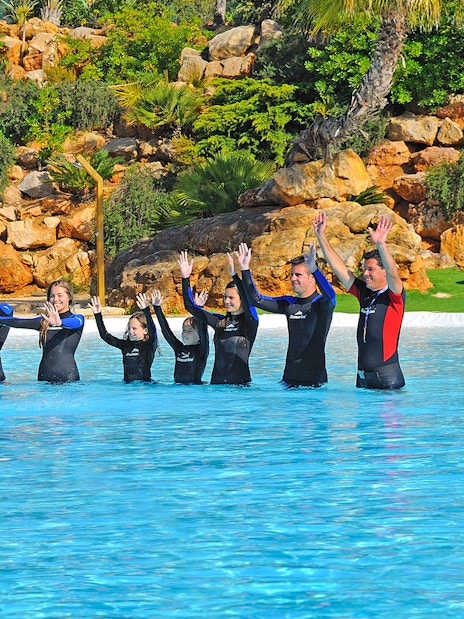 People interacting with dolphins at Zoomarine's Dolphin Emotions Experience.