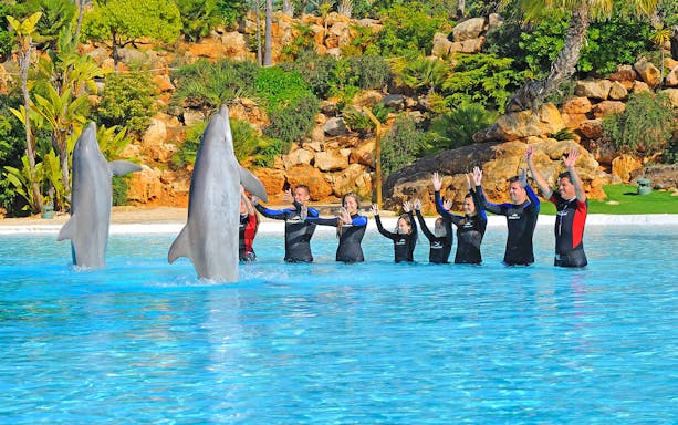 People interacting with dolphins at Zoomarine's Dolphin Emotions Experience.