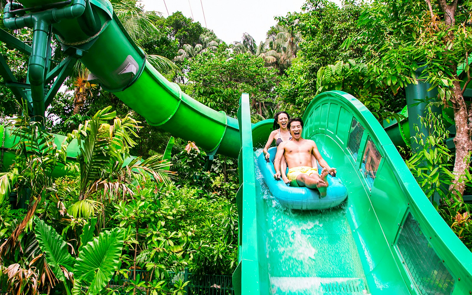 People enjoying the Riptide Rocket ride at Adventure Cove Waterpark™ surrounded by lush greenery.