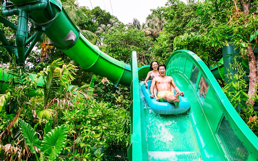 People enjoying the Riptide Rocket ride at Adventure Cove Waterpark™ surrounded by lush greenery.