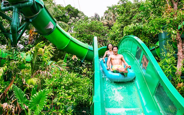People enjoying the Riptide Rocket ride at Adventure Cove Waterpark™ surrounded by lush greenery.