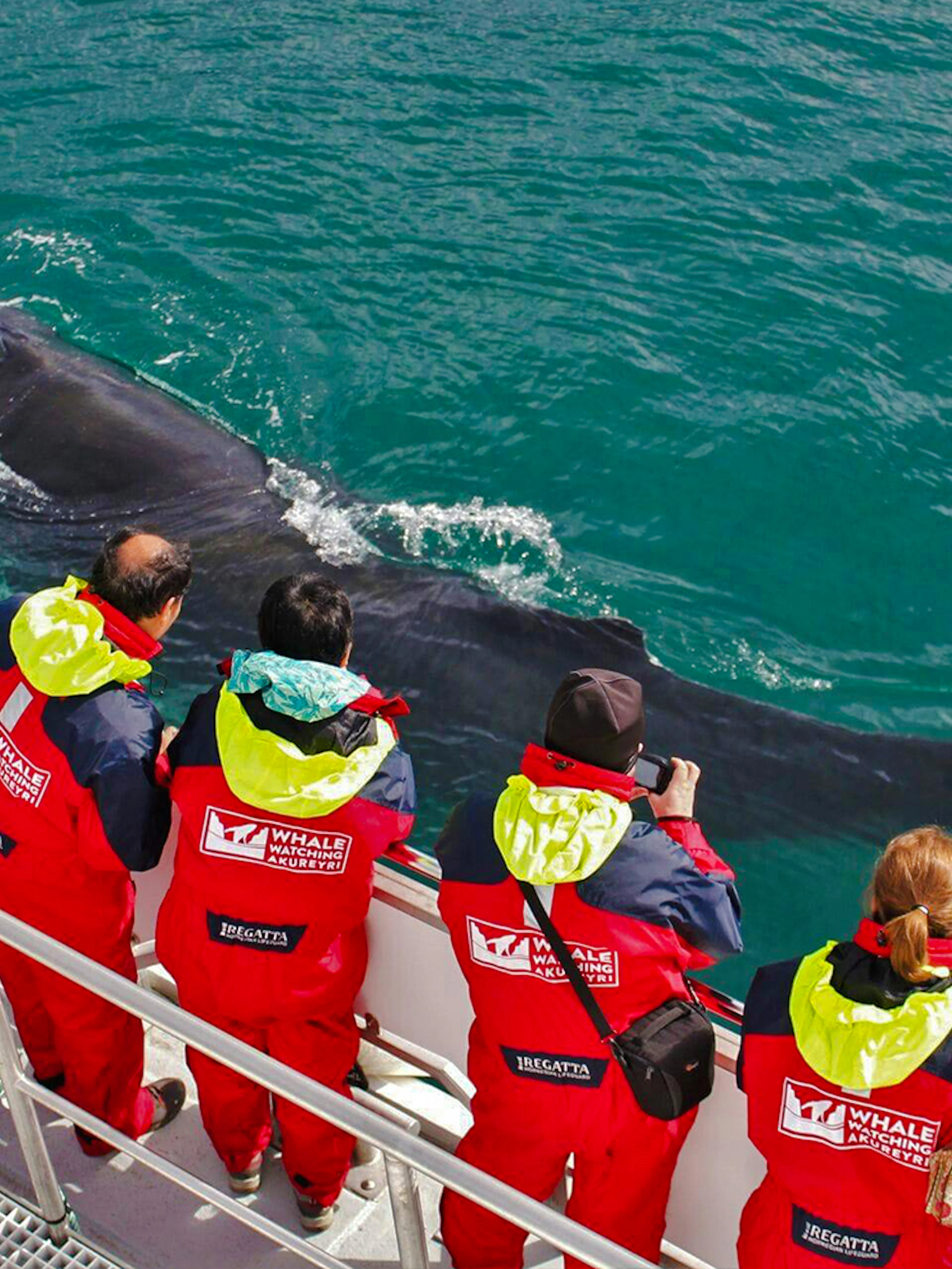 Tourists observing a humpback whale from a boat during a Classic Whale Watching tour in Akureyri.