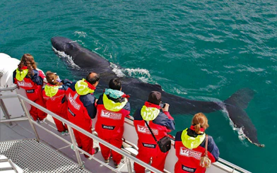 Tourists observing a humpback whale from a boat during a Classic Whale Watching tour in Akureyri.