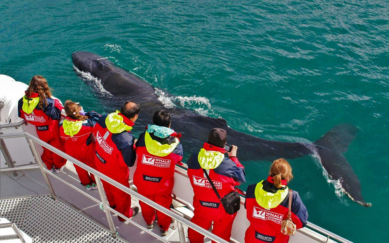 Tourists observing a humpback whale from a boat during a Classic Whale Watching tour in Akureyri.