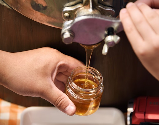 Bottling freshly harvested honey into a jar from a spout.