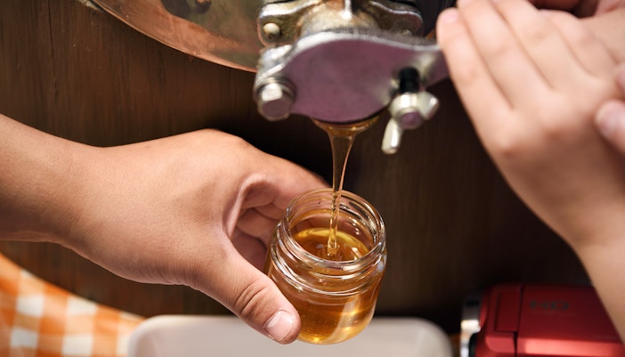 Beekeeper extracting honey from honeycomb in a rural apiary, showcasing the process of bottling the harvested honey.