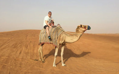 Camel ride on desert dunes near Souss River, Agadir.