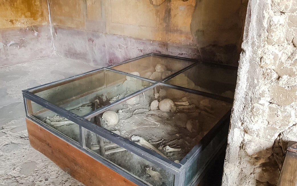 Remains of Pompeii's former inhabitants displayed in a glass case.
