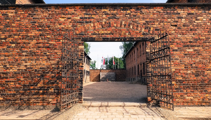 Soviet Army Liberated Auschwitz