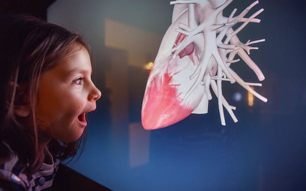 Child observing a digital heart display at the History of Medicine Museum.