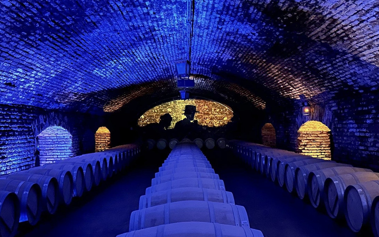 Barrel-lined cellar at Viña Concha y Toro during nighttime dinner show tour.