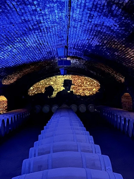 Barrel-lined cellar at Viña Concha y Toro during nighttime dinner show tour.