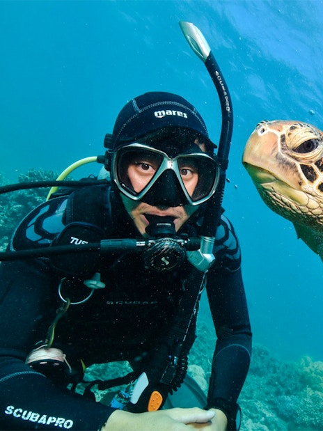 Snorkeler with sea turtle at Moore Reef, Great Barrier Reef day cruise.
