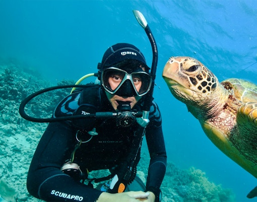 Snorkeler with sea turtle at Moore Reef, Great Barrier Reef day cruise.