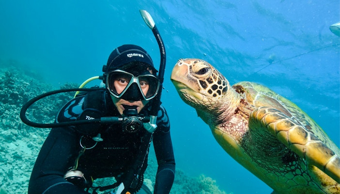 Snorkeler with sea turtle