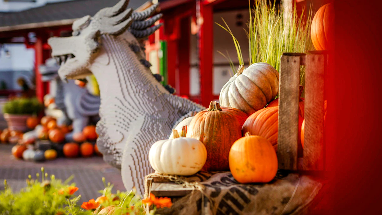 Lego dragon and pumpkins at Halloween display in Legoland Billund.