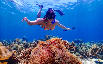 koh haa & koh rok speedboat snorkeling tour with lunch and hotel transfers-10
