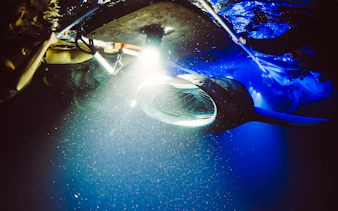 Snorkelers observe a manta ray illuminated underwater during a Kona night tour.