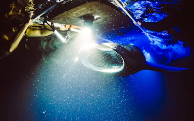 Snorkelers observe a manta ray illuminated underwater during a Kona night tour.