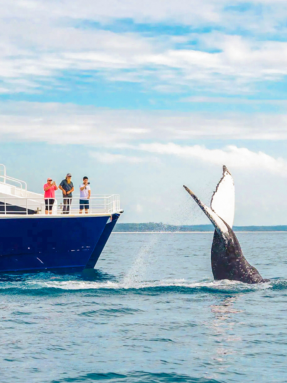 Hervey Bay to Fraser Island