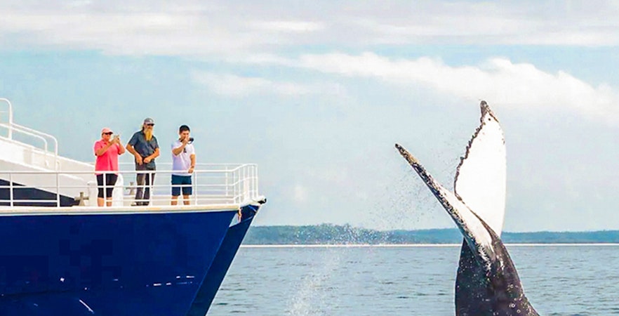 Z Hervey Bay na wyspę Fraser