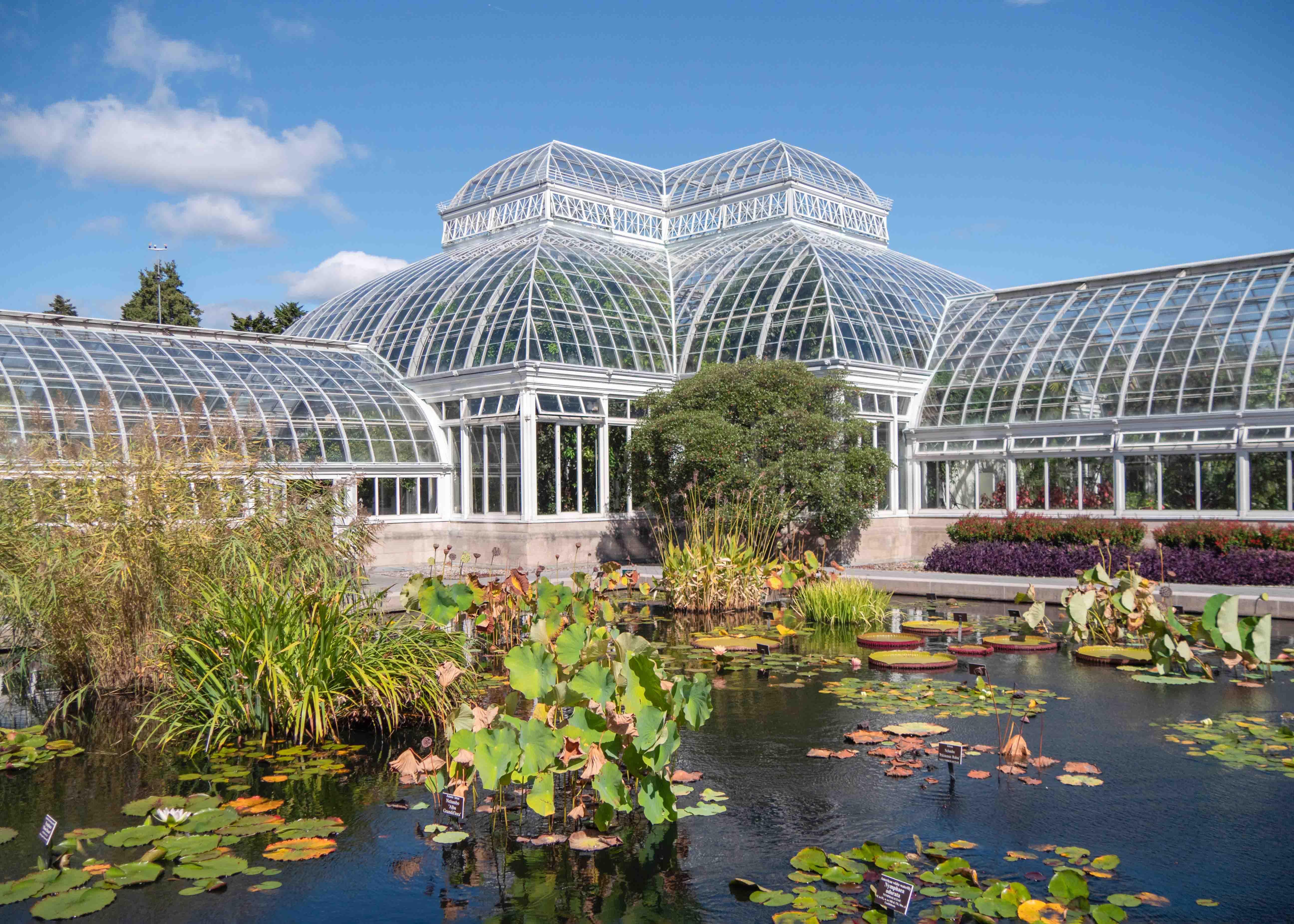 New York Botanical Garden