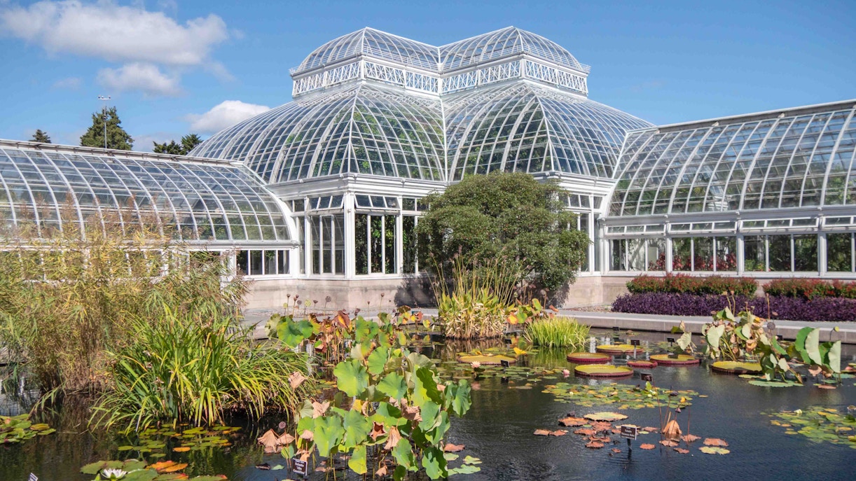 New York Botanical Garden