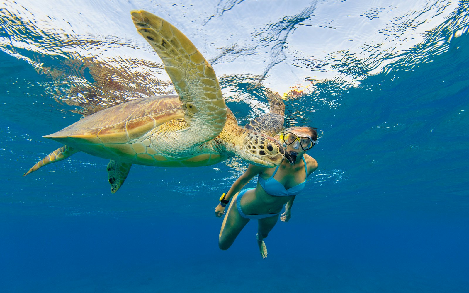 Snorkeler swimming with a sea turtle in Tenerife waters.